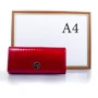 Женский кошелек 4U Cavaldi красный (DNKH24-1-red): Страна производитель Польша