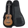 Чехол GATOR GB-4G-UKE SOP Soprano Ukulele Gig Bag: Тип Чехлы