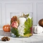 Ваза Trendglass Flora 19см (35096/6): Тип Ваза