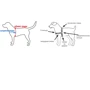 Шлея Premier Easy Walk для собак красная L (EW_H_L_RD_17 ): Производитель Premier