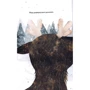 Роза Бейлі: Оленичка та Малинівка: ISBN 978-617-8023-79-9