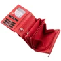 Женский кошелек 4U Cavaldi красный (DNK-RD-02-GCL-red): Формат кошелька Вертикальный
