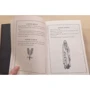 J. K. Rowling: Harry Potter and the Philosopher's Stone - Ravenclaw Edition: Автор Джоан Роулінг