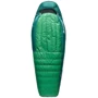Спальный мешок Sea to Summit Ascent -1C/30F Long Rain Forest Green (STS ASL041101-212002)