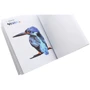 Зоометрія. Улюблені тварини: ISBN 978-617-7579-90-7