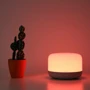 Гаджет для дома Yeelight LED Bedside Lamp D2 (YLCT01YL) (CN версия) (YLCT0101CN): Назначение Для спальни