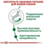 Сухой корм для собак Royal Canin Mini Adult 8+ малых пород старше 8 лет 800 г (30020089): Порода Малые