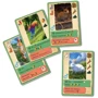 Настольная игра Woodcat Кролики (Coney) (укр.) (W0043): Вид карточные