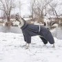 Комбинезон Pet Fashion Cold M-2 (4823082416578): Длина спины 33 см