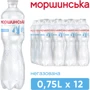 Вода Моршинська минеральная природная столовая негазированная 12х0.75 л (DS48200170006591): Объем, л 9