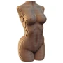 Картонный конструктор Cartonic 3D Puzzle FEMALE TORSO
