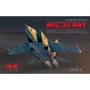 Советский самолет-разведчик MiG-25 RBT, Soviet Reconnaissance Plane (ICM48901)