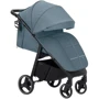 Прогулочная коляска Carrello Bravo/F (CRL-8512 Ice Blue F): Пол ребенка Унисекс