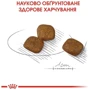 Сухой корм Royal Canin Coat Care Adult для собак мини пород с тусклой и сухой шерстью 3 кг (1220030): Свойства Основное питание, Забота о коже и шерсти