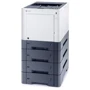Принтер Kyocera Ecosys P6230CDN (1102TV3NL0 /1102TV3NL1): Клас пристрою Персональный