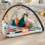 Килимок-ігровий центр 3-в-1 Fisher-Price Веселі розваги (HBP41): Особливості музыкальное сопровождение, игровые дуги