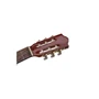 Класична гітара Alfabeto SAPELE CS39G + чохол: Форма корпусу Джамбо