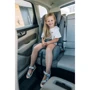 Автокресло FreeON Modus grey (49621): Крепление Isofix есть