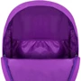 Рюкзак Bagland Молодіжний W / R 17 л. 339 Фіолетовий 747 (00533662): Стать дитини для дівчаток