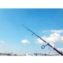 Спінінгові вудилище Daiwa Fuego 902MFS 2.74m 10-30gr: Кількість секцій 2