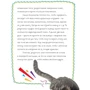 # КОТИКИ. Головна книга в текстах, ілюстраціях і мимими: ISBN 978-5-17-106098-5