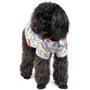Рубашка Pet Fashion Феникс XS2 (4823082416677): Тип Рубашки