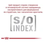 Вологий корм Royal Canin Gastrointestinal Cat Pouches для котів з порушенням травлення 85 г (9003579013557): Тип Влажный корм