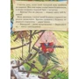 Вовк i семеро козенят. Троє поросят. Перше читання: ISBN 978-966-912-057-1