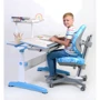Парта SingBee Q-Assembly L Blue + Книжная полка SBS-610 (SBS-602-BL + SBS-610): Тип Парта