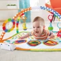 Килимок Fisher-Price Оркестр (DFP69): Розмір, см 66 х 52