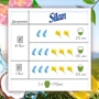Ополіскувач для білизни Silan Naturals Аромат Кокосової води та мінерали 1.45 л фото 6