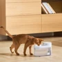 Поїлка CATLINK AI Water Fountain - Wireless (6972884750873) фото 7