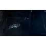 Bloodborne: Порождение крови (PS4): Жанр Экшн