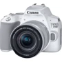 Canon EOS 250D kit (18-55mm) IS STM White: Тип матрицы CMOS