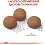 Сухой корм Royal Canin Digestive Care Maxi Adult для собак крупных пород с чувствительным пищеварением 12 кг (3055120): Вес упаковки 12 кг