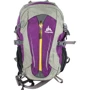 Жіночий рюкзак Onepolar фіолетовий (W1595-purple): Стать Женский