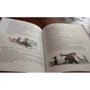 Механический Дед Мороз: ISBN 978-5-906640-16-1