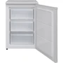 Морозильная камера HEINNER HFF-V102F+: Количество дверей 1