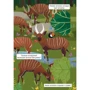 Книга-картонка. Первый виммельбух с окошками. В джунглях: ISBN 978-966-936-936-9