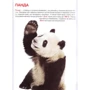 Велика книжка. Дикі тварини: ISBN 978-617-7352-58-6
