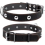 Ошейник Collar одинарный с украшением ш 35 мм, д 48-63 см черный (02711)