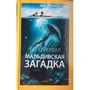 Тур Хейєрдал: Мальдівська загадка