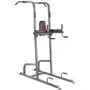 Многоцелевая станция для подтягиваний inSPORTline Power Tower PT300 (20615)
