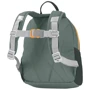 Детский рюкзак Jack Wolfskin BUTTERCUP зеленый (2003762_4311 Рюкзак: Пол Детский