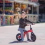 Беговел Lorelli SPIDER (red): Диаметр колес, дюймов 10