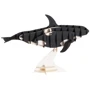 Ластівка Whale Fridolin 3D модель