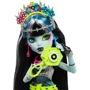 Кукла Monster High Фрэнки Монстро-фестиваль (HXH79): Возраст от 3 лет