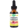 Nature's Way Echinacea Goldenseal Alcohol Free 99.9% 1 fl oz (30 ml) Ехінацея і гідрастіс
