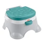 Горщик 3-в-1 Fisher-Price Веселе навчання (GYP61) фото 8