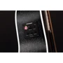 Акустична бас-гітара CORT AB590MF (Black Open Pore) w / bag: Тип кріплення грифа Вклеєний
